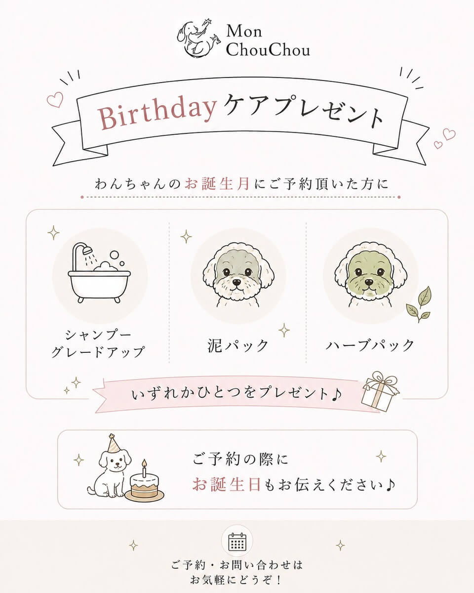 旭川のトリミングサロン モンシュシュ お誕生月のBirthdayケアプレゼント 泥パック ハーブパック